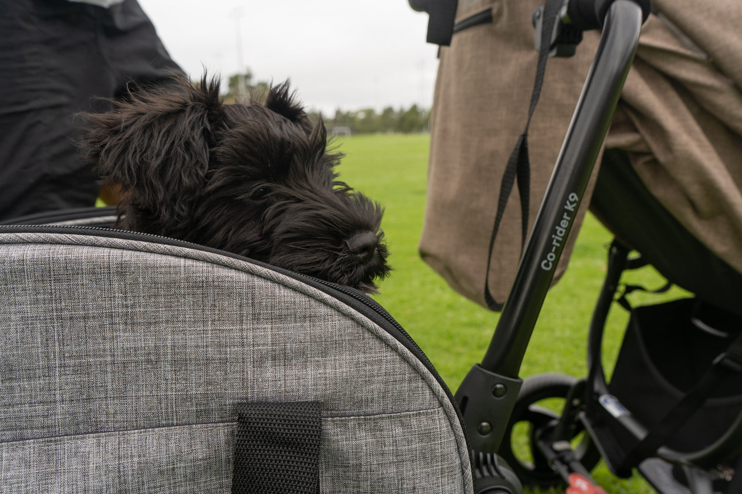 Co-Rider K9: Your Ultimate 4-Wheel Pet Trailer
