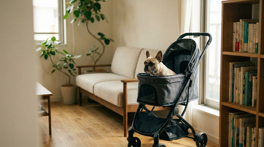 Dog strollers for small apartments