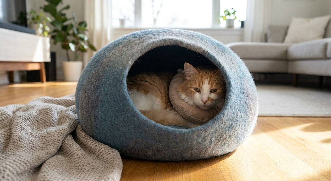 Cat cave beds for cats recovering from spay or neuter surgery