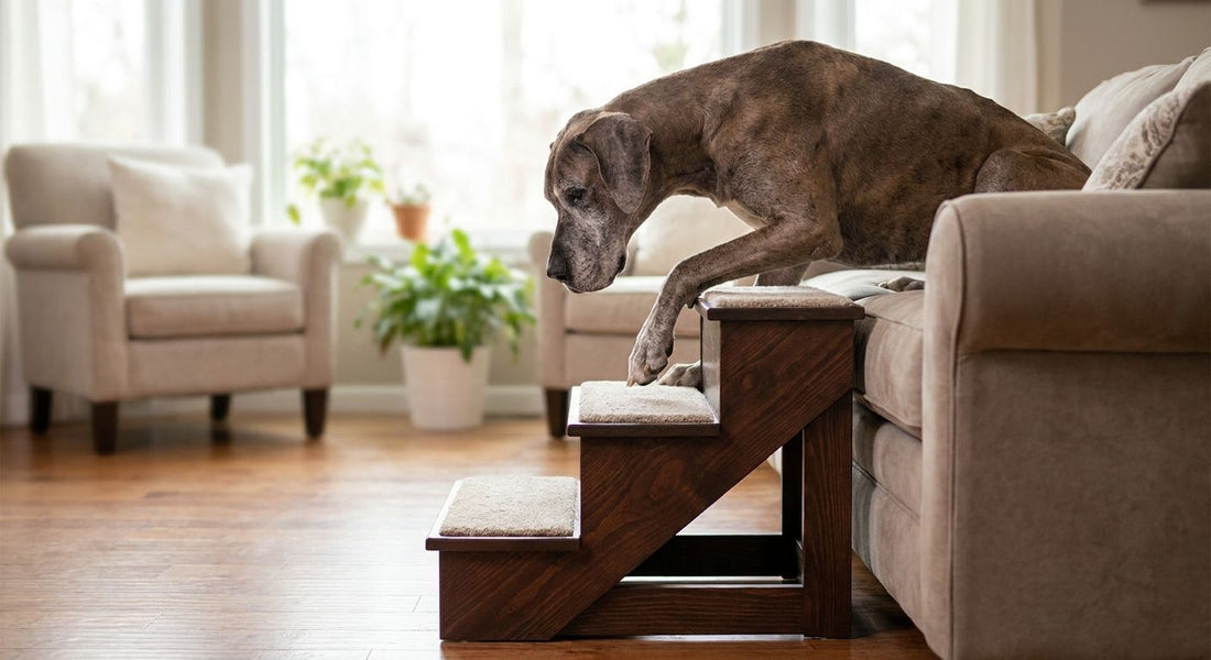 Best heavy-duty pet stairs for large and heavy dogs
