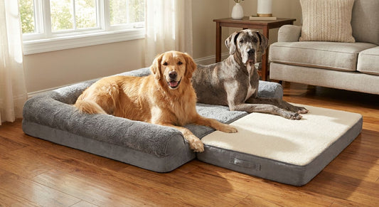 Best dog bed mattress extenders for large dogs