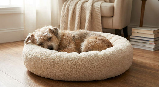 Best cozy pet beds for small dogs