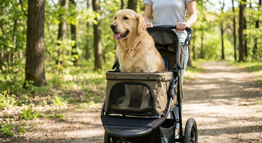 Dog strollers for large breed dogs