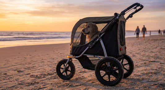 Pet strollers for beach vacations