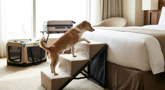 Foldable pet stairs for travel and hotel stays