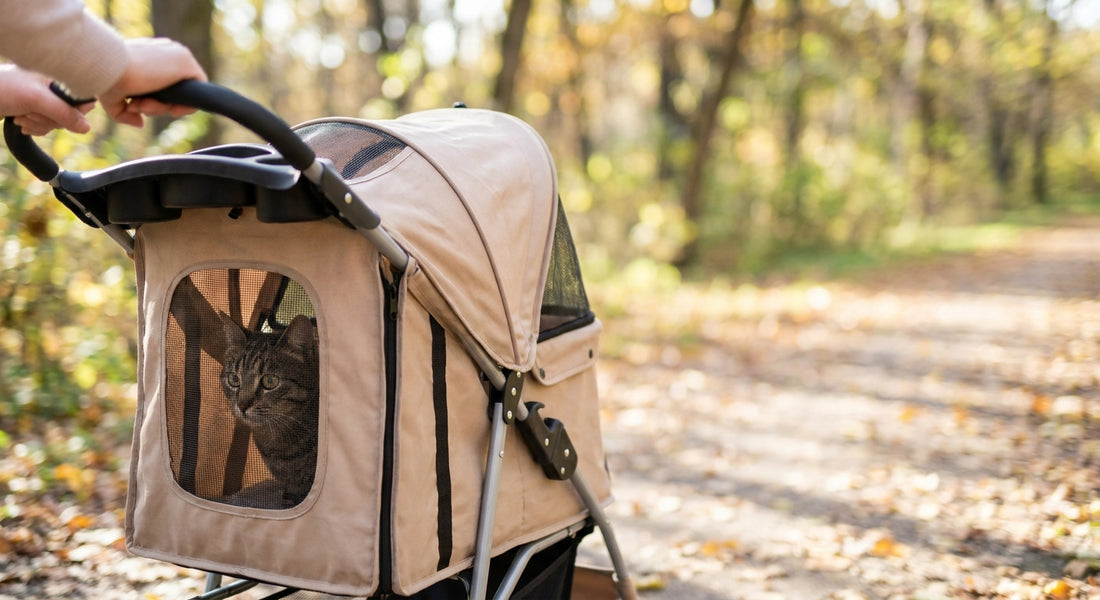 Cat strollers for anxious cats