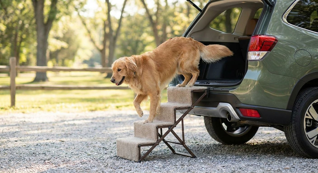 Pet stairs for getting into SUVs and trucks