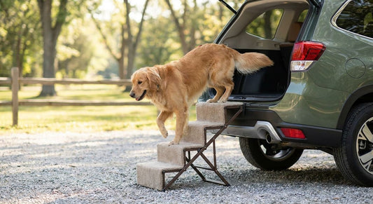 Pet stairs for getting into SUVs and trucks