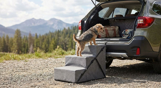 Best portable pet stairs for road trips