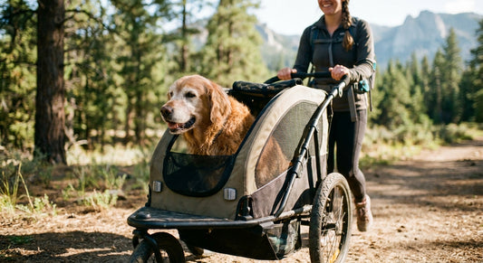 Dog strollers for arthritic dogs