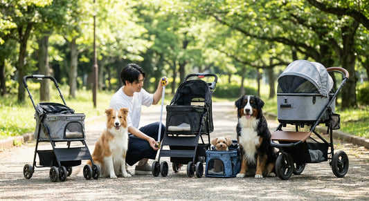 How to choose the right dog stroller size