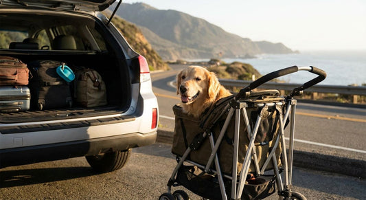 Dog strollers for road trips and long car rides