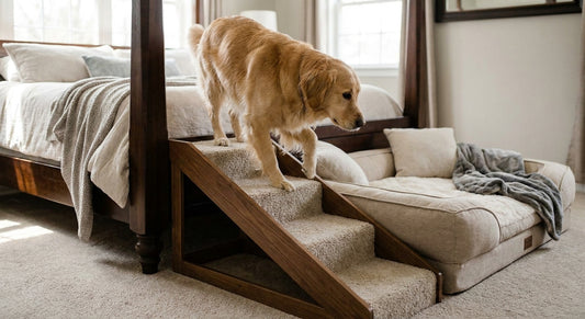 Dog beds with stairs for tall bed frames