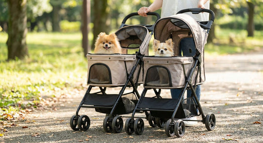 Best dog strollers for tiny toy breeds