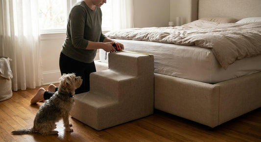 How to pick the right pet stairs height for your bed