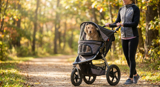 Best jogging strollers for dogs