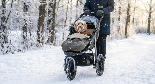 Best dog strollers for cold weather and snow