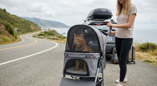 Cat strollers for road trips and travel