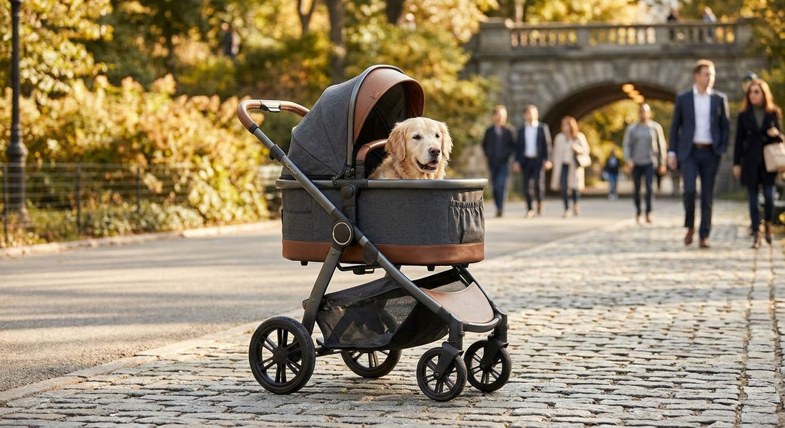 Best luxury dog strollers with premium features