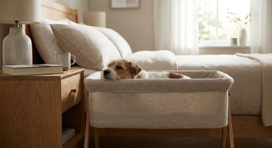 Best dog bassinets for nightstand-height beds