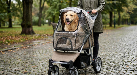 Dog strollers for rainy weather walks
