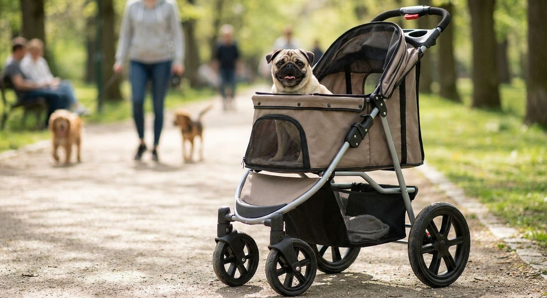 Dog strollers for pugs and other short-nosed breeds