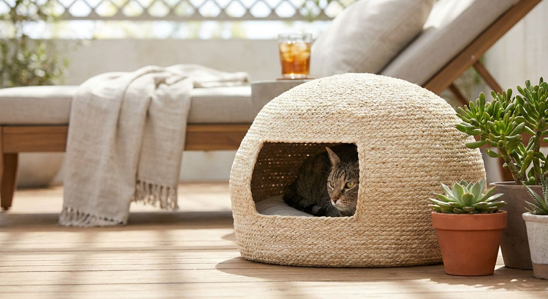 Cat cave beds for hot summer climates