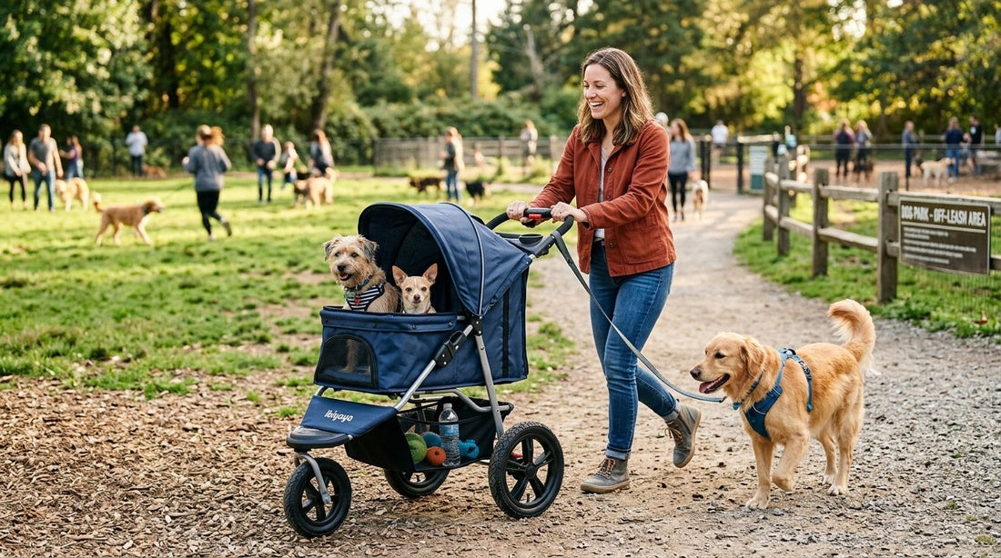 Best pet strollers for dog park and off-leash area trips