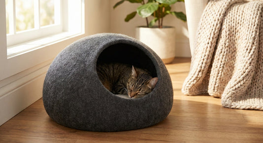 Cat cave beds for anxious cats