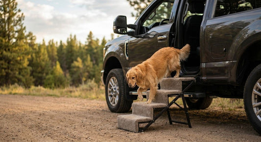 Best pet stairs for high vehicles