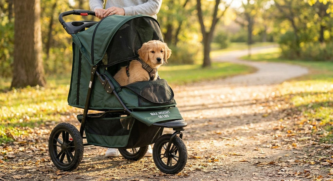 Dog strollers for growing puppies and weight limits