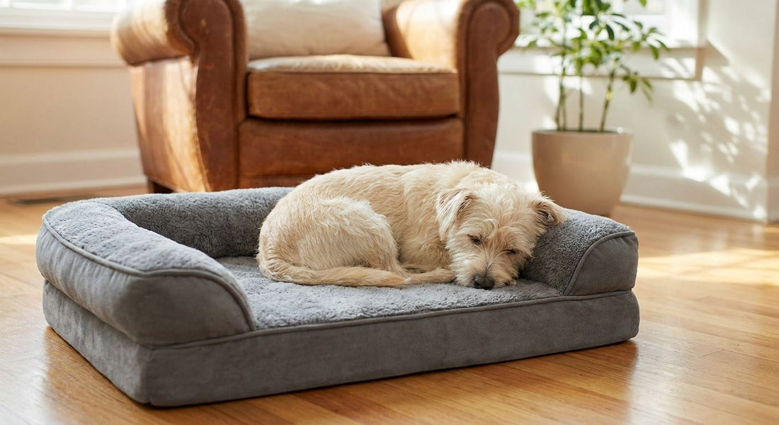 Orthopedic dog beds for small breed dogs