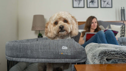 Close2Me co sleeper pet bed attaches directly to most standard