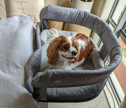 Close2Me Pet Bed