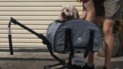 Co-Rider K9: Your Ultimate 4-Wheel Pet Trailer