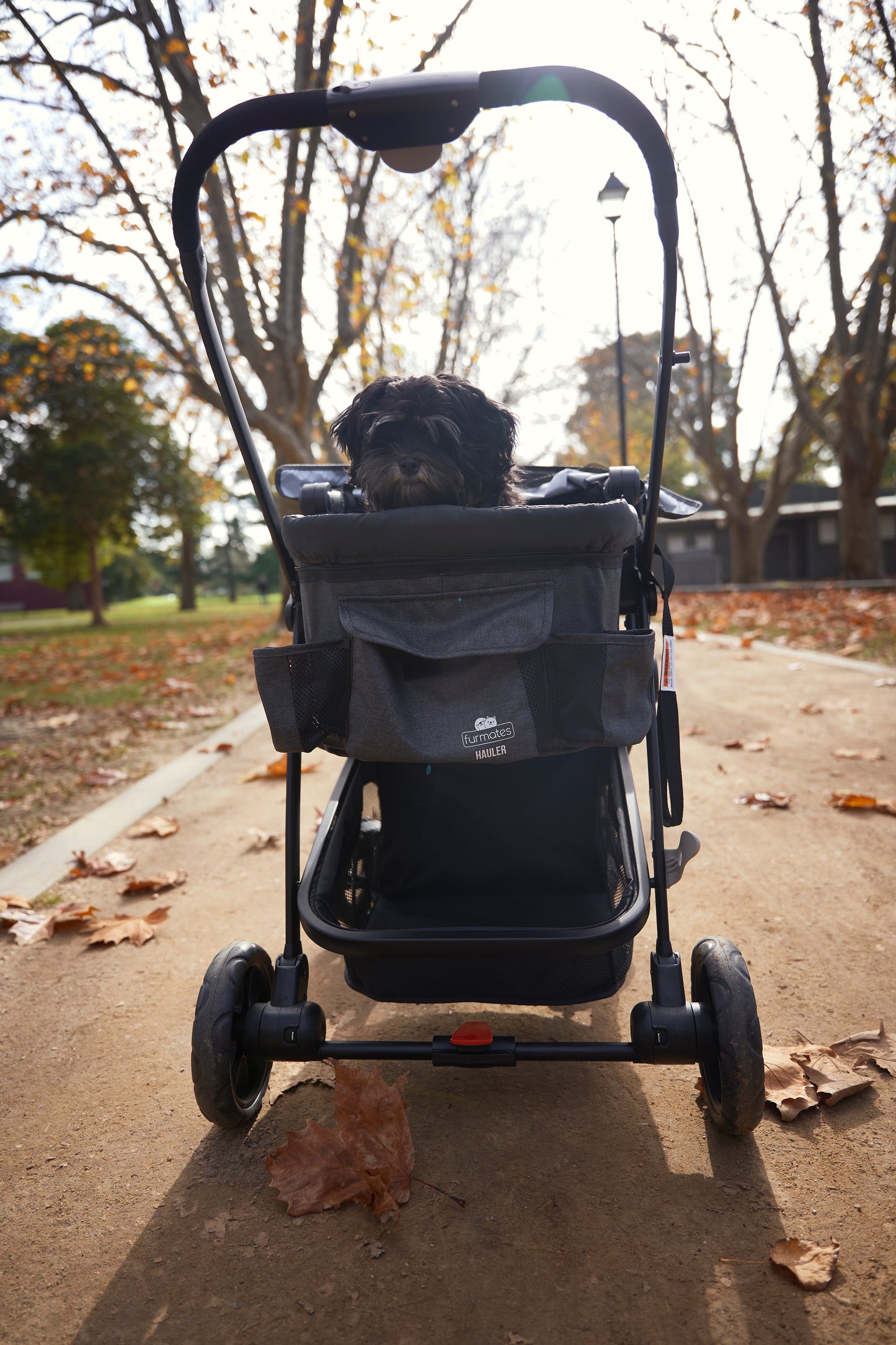 Hauler Pet Stroller