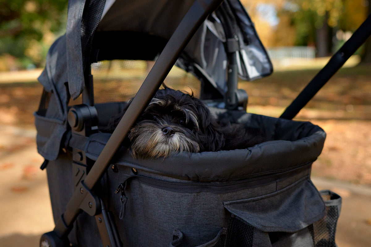 Small dog riding in Furmates Hauler pet stroller